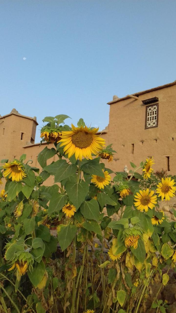 Hotel Kasbah Izoran Midelt Exterior foto