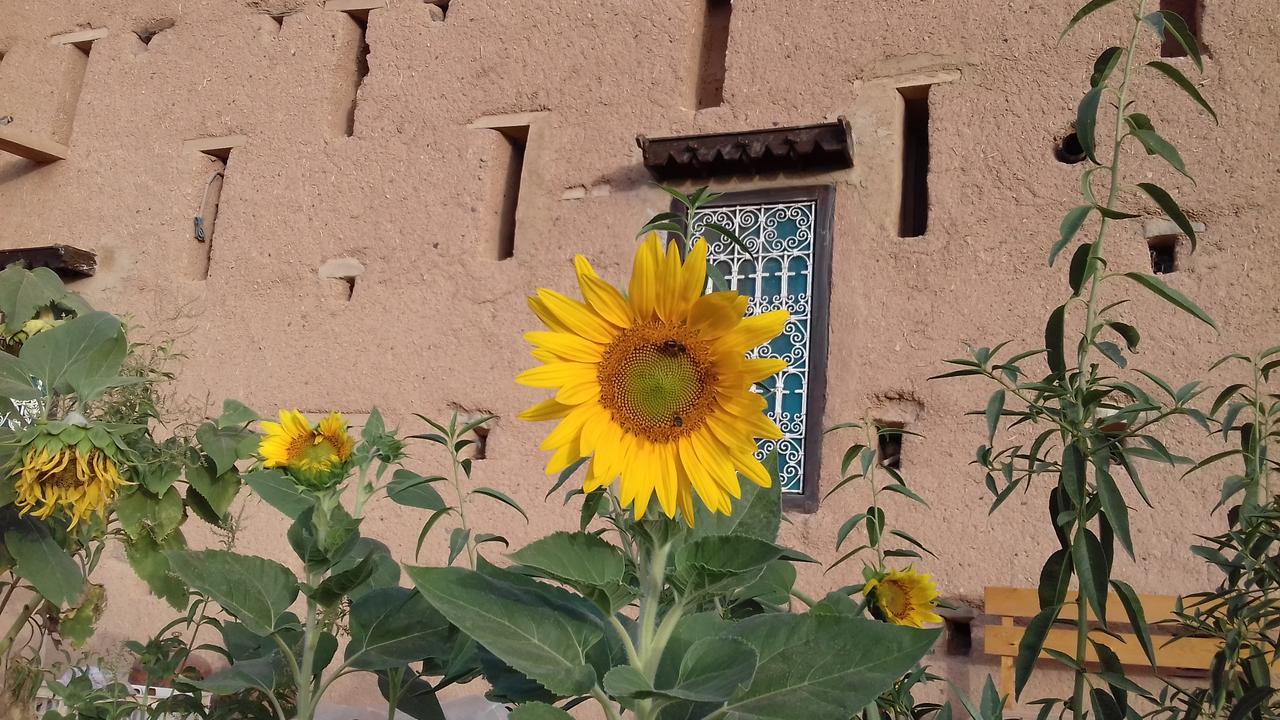 Hotel Kasbah Izoran Midelt Exterior foto
