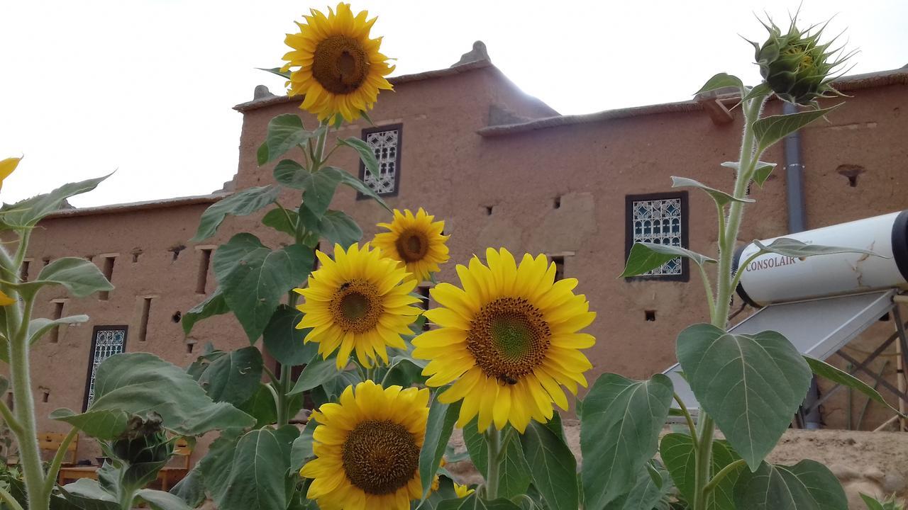 Hotel Kasbah Izoran Midelt Exterior foto
